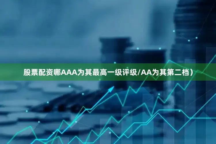 股票配资哪AAA为其最高一级评级/AA为其第二档）