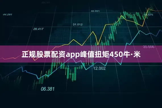 正规股票配资app峰值扭矩450牛·米