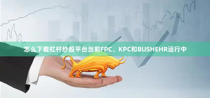 怎么下载杠杆炒股平台当前FPC、KPC和BUSHEHR运行中